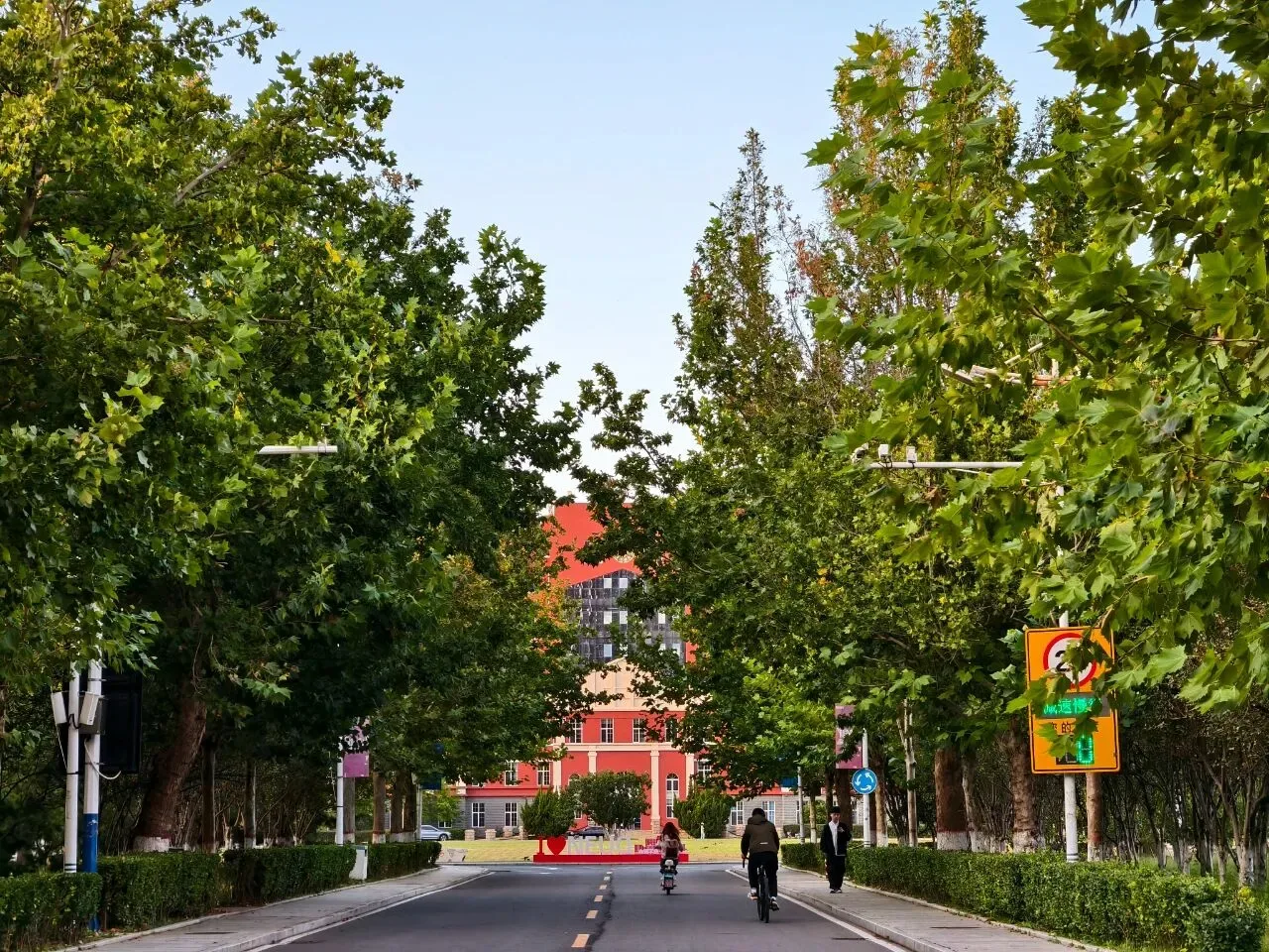东北大学秦皇岛分校校园林荫道与主楼实景