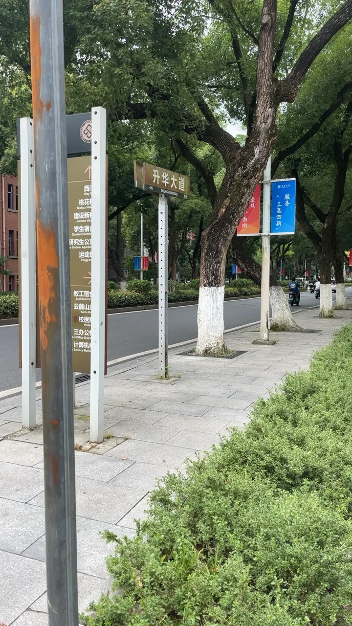 中南大学升华大道街景实拍
