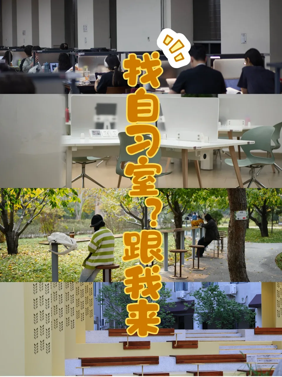 中国农业大学校园实景