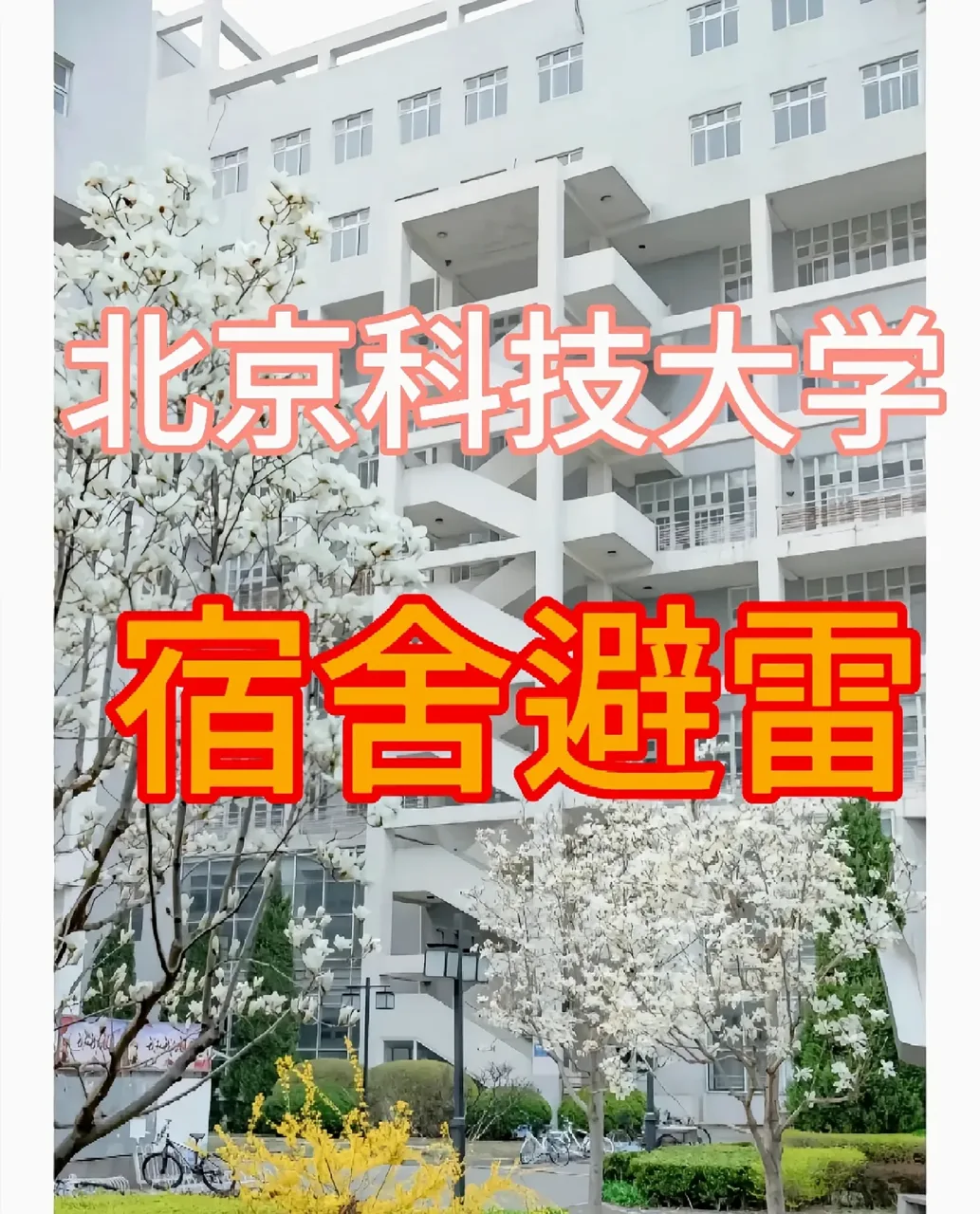 北京科技大学教学楼实拍（玉兰花季）