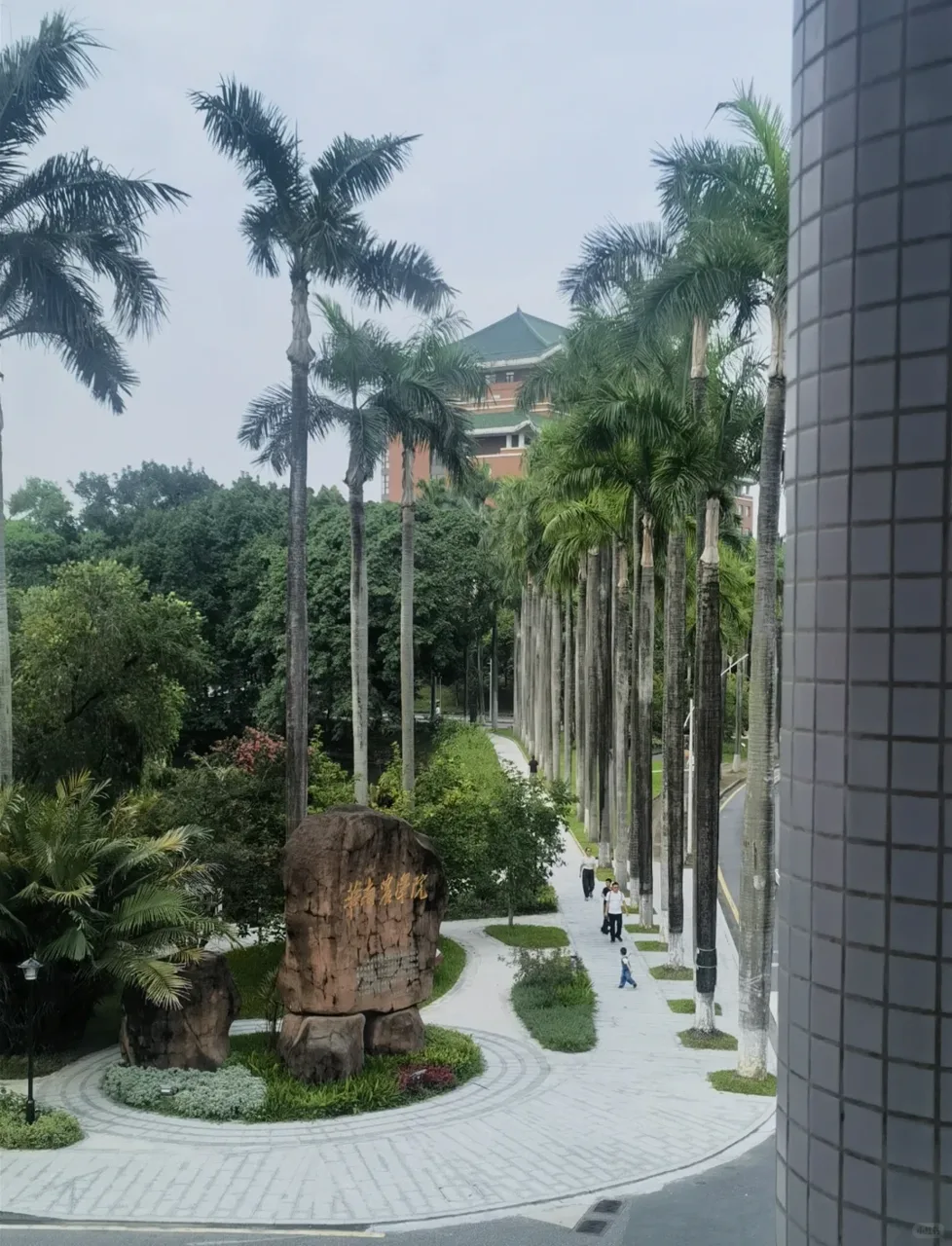 华南理工大学校园石碑棕榈道实景