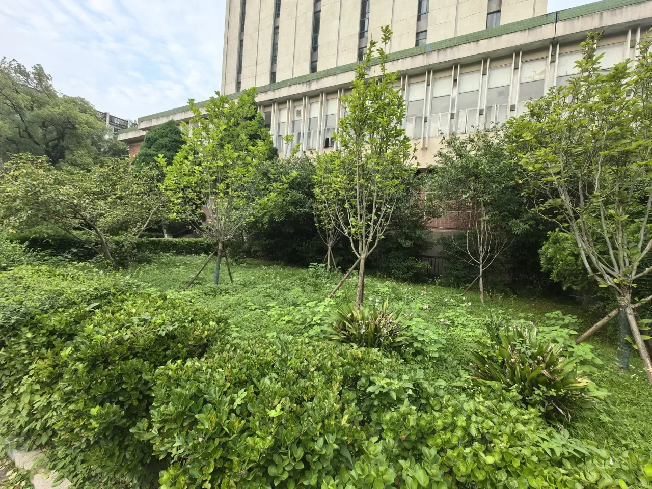 湖南大学校园绿化